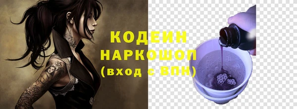 ПСИЛОЦИБИНОВЫЕ ГРИБЫ Рославль