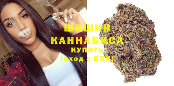 стаф Балахна