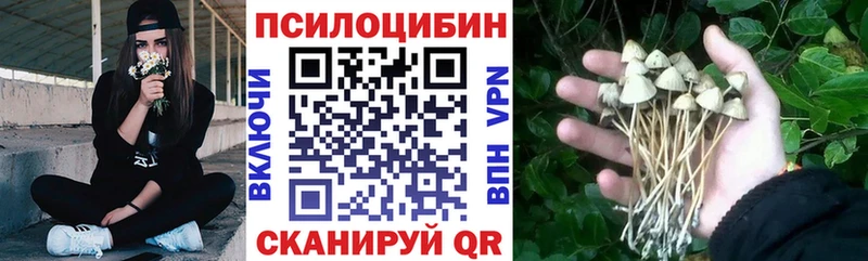 Галлюциногенные грибы Magic Shrooms  Купить  Бодайбо 
